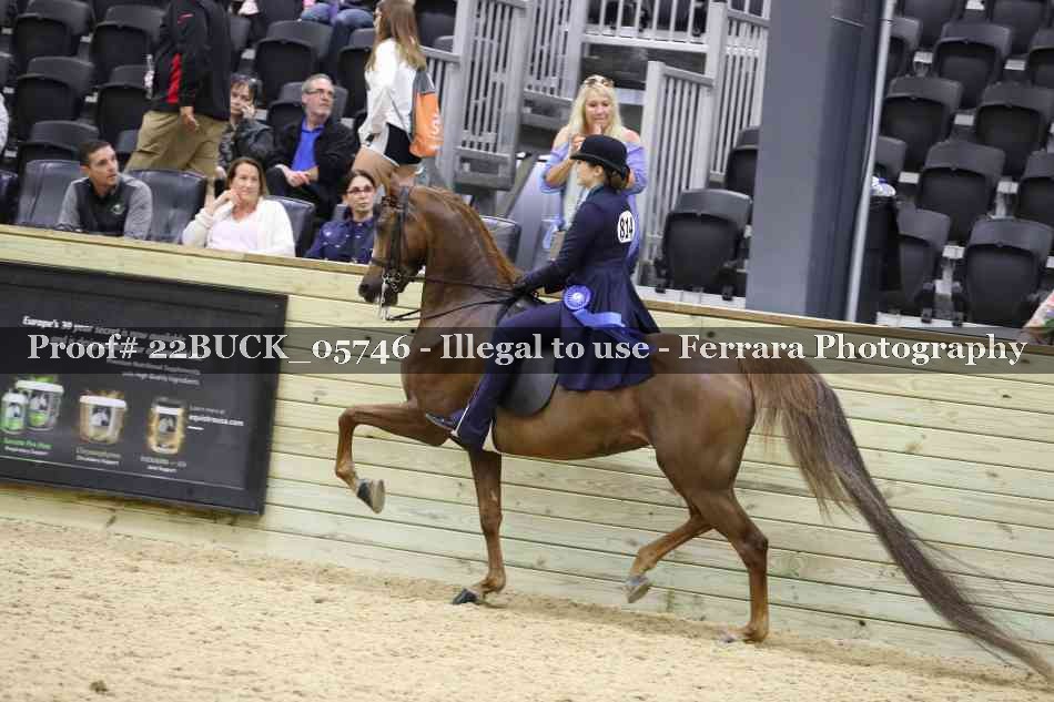 Proof 22BUCK_05746