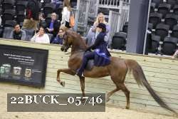 22BUCK_05746 proof