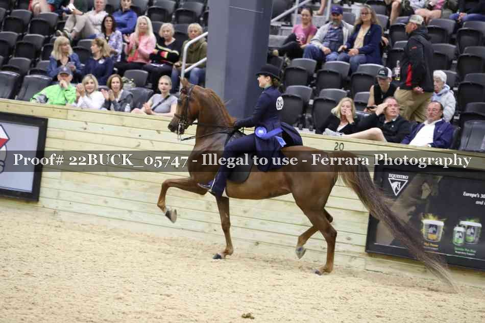 Proof 22BUCK_05747