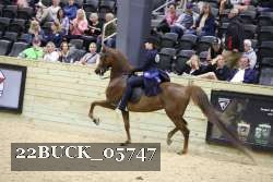 22BUCK_05747 proof