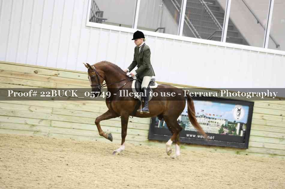 Proof 22BUCK_05749