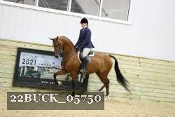22BUCK_05750 proof