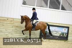 22BUCK_05751 proof