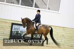 22BUCK_05753 proof