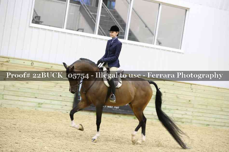 Proof 22BUCK_05754