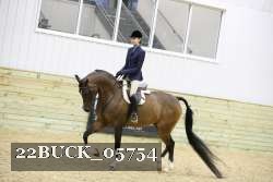 22BUCK_05754 proof