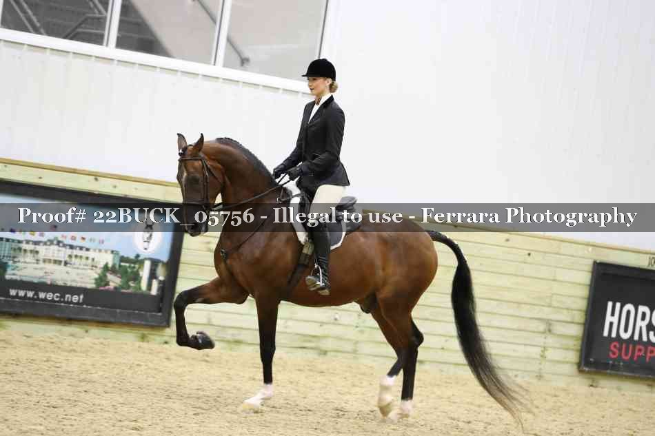 Proof 22BUCK_05756