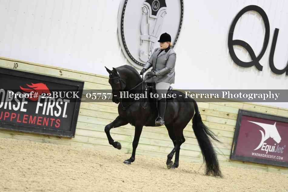 Proof 22BUCK_05757