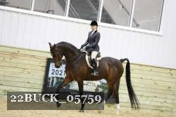 22BUCK_05759 proof