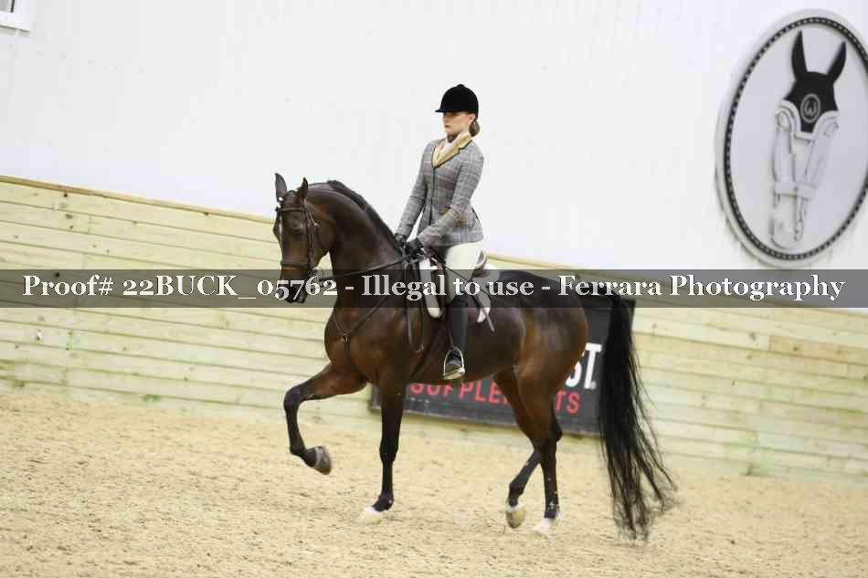 Proof 22BUCK_05762