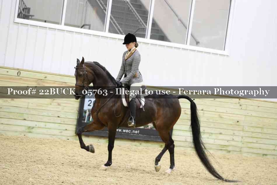 Proof 22BUCK_05763