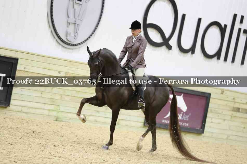 Proof 22BUCK_05765