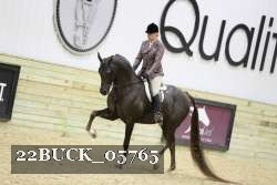 22BUCK_05765 proof