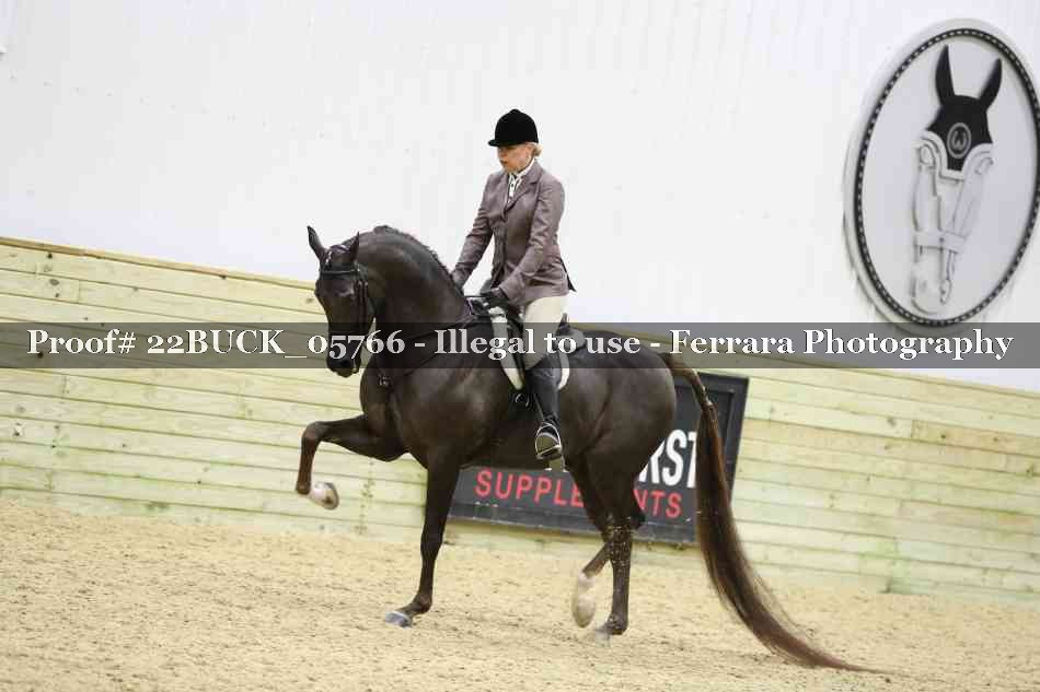 Proof 22BUCK_05766