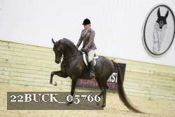 22BUCK_05766 proof