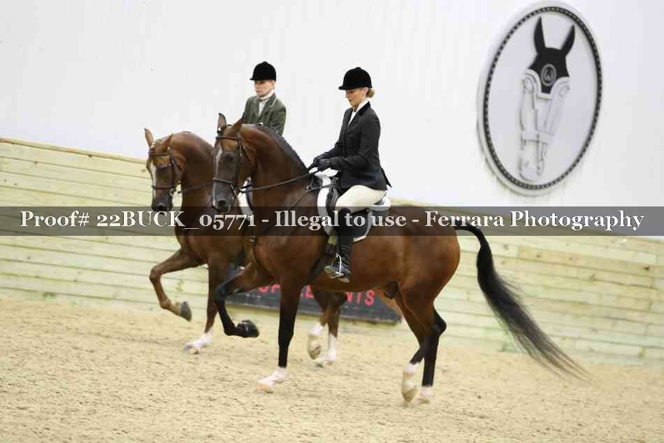 Proof 22BUCK_05771