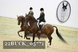 22BUCK_05771 proof