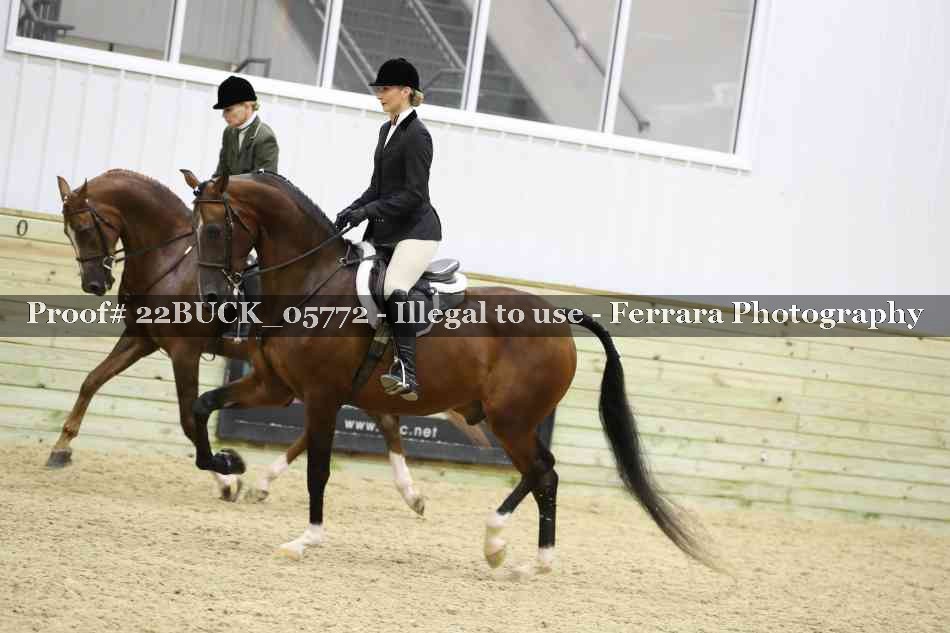 Proof 22BUCK_05772