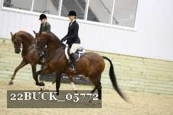 22BUCK_05772 proof