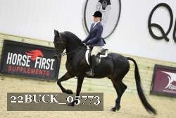 22BUCK_05773 proof