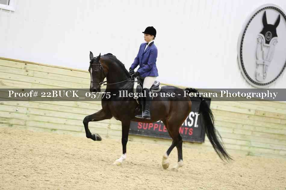 Proof 22BUCK_05775
