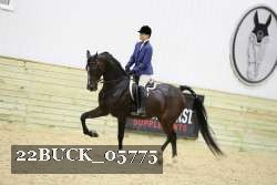22BUCK_05775 proof