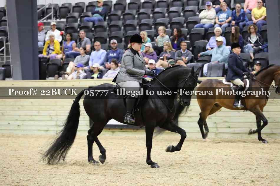 Proof 22BUCK_05777