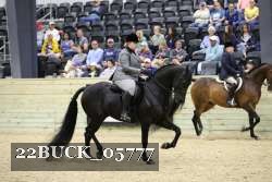 22BUCK_05777 proof