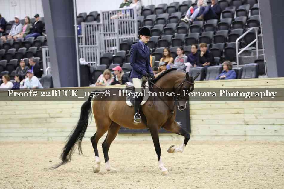 Proof 22BUCK_05778