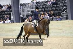 22BUCK_05778 proof