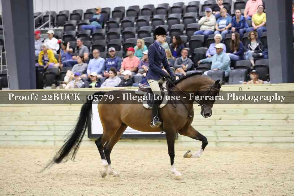 Proof 22BUCK_05779