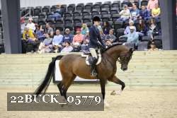 22BUCK_05779 proof