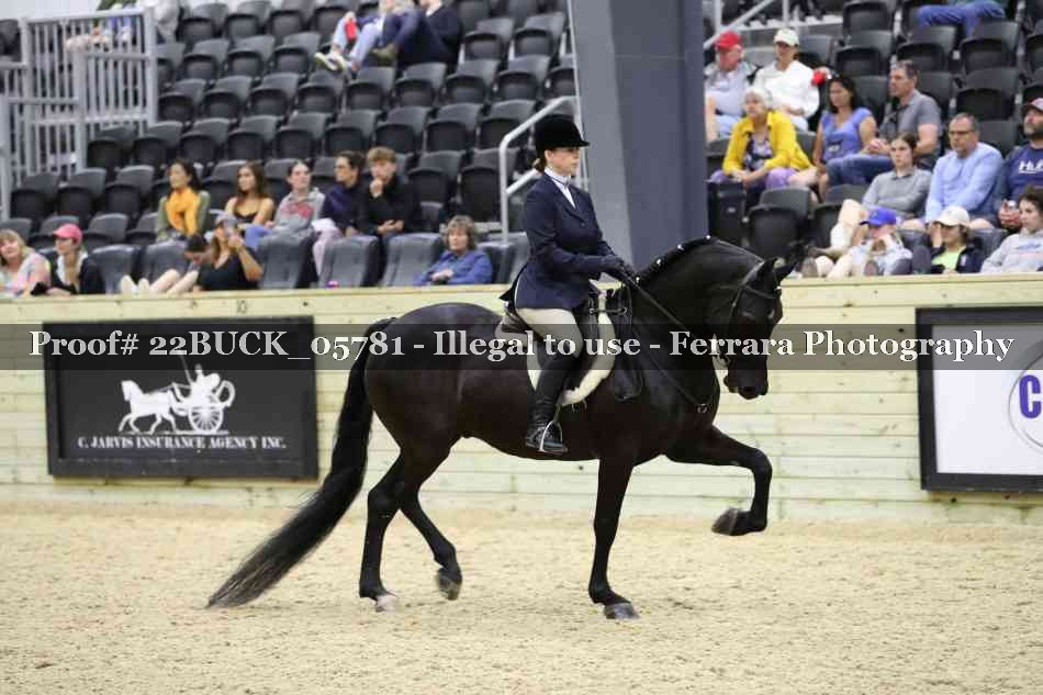 Proof 22BUCK_05781