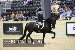 22BUCK_05781 proof