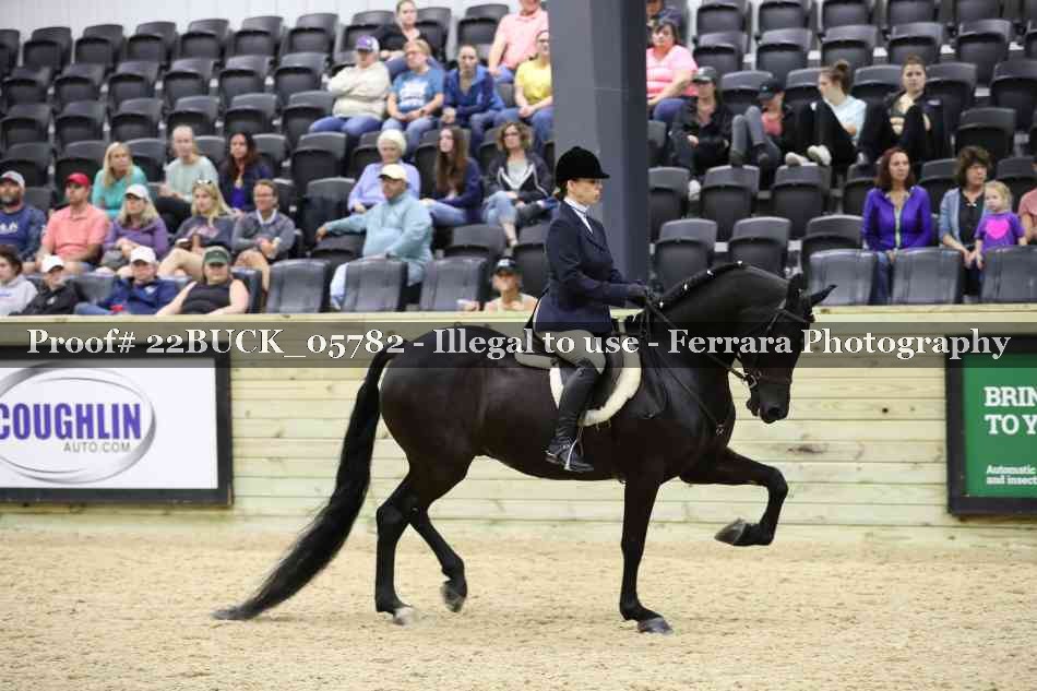 Proof 22BUCK_05782
