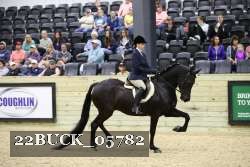 22BUCK_05782 proof