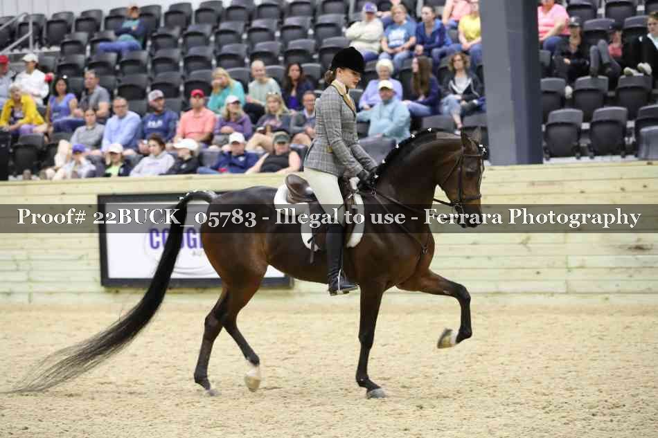 Proof 22BUCK_05783