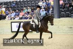 22BUCK_05783 proof