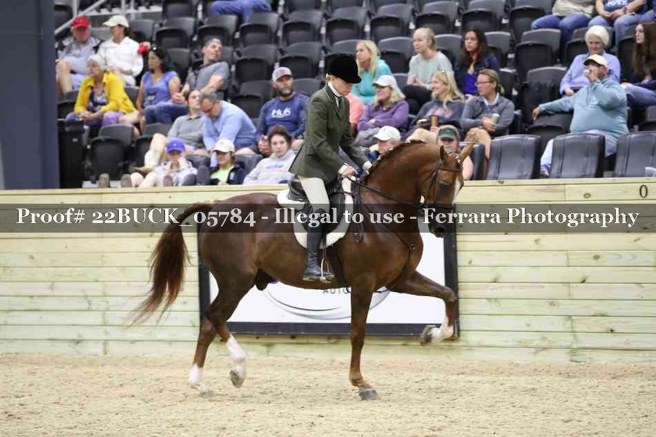Proof 22BUCK_05784