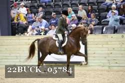 22BUCK_05784 proof