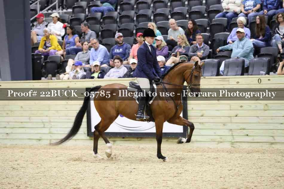 Proof 22BUCK_05785