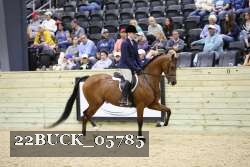 22BUCK_05785 proof