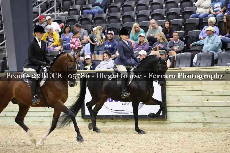 Proof 22BUCK_05786