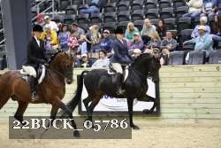 22BUCK_05786 proof