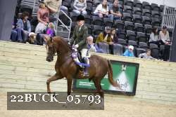 22BUCK_05793 proof