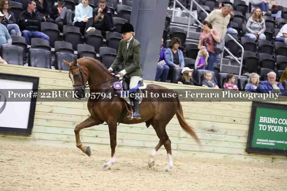 Proof 22BUCK_05794