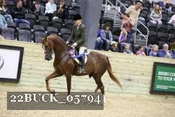 22BUCK_05794 proof