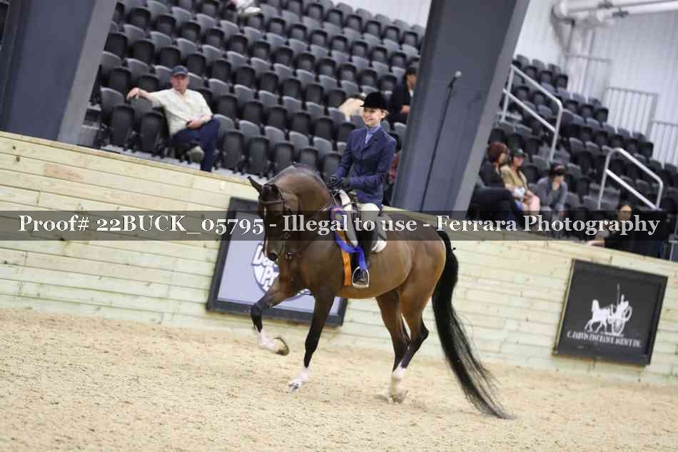 Proof 22BUCK_05795
