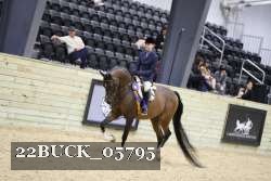 22BUCK_05795 proof