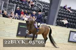 22BUCK_05796 proof